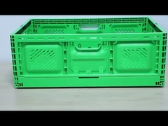 Buitenste afmeting 600*400*220 mm Landbouw Plastic verplaatsbare dozen voor fruit