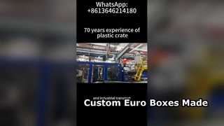 Productie van aangepaste euroboxen en VDA-containers | OEM Plastic Logistieke Containers Fabriek