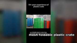 Mesh opvouwbare plastic kratverpakking voor Amerikaanse klanten Ruimtebesparende herbruikbare logistieke oplossing