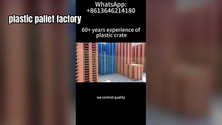 Productie van kunststof pallets met aangepaste kleuropties