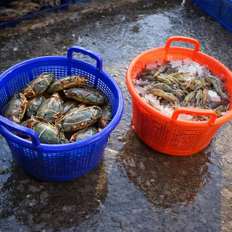 Laatste bedrijfsblogs How to Match Plastic Shrimp Basket Dimensions with Existing Processing Equipment (Hoe te matchen Plastic Shrimp Basket Dimensions met bestaande verwerkingsapparatuur)